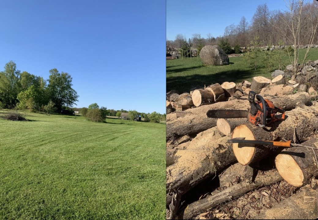 Waltcare teenused - muruniitmine ja metsatööd